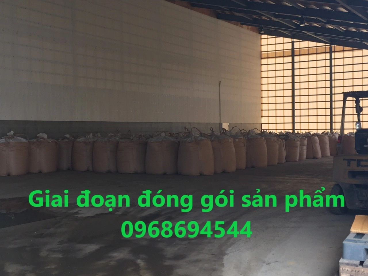 Cách Sử Dụng Tối Ưu Phân Gà Hữu Cơ Cho Cây Cam