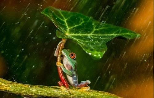 Những Câu Ca Dao Tục Ngữ Về Văn Hóa Sản Xuất Nông Nghiệp 