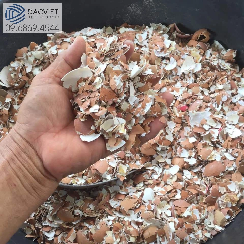 Vỏ Trứng Gà Trồng Cây