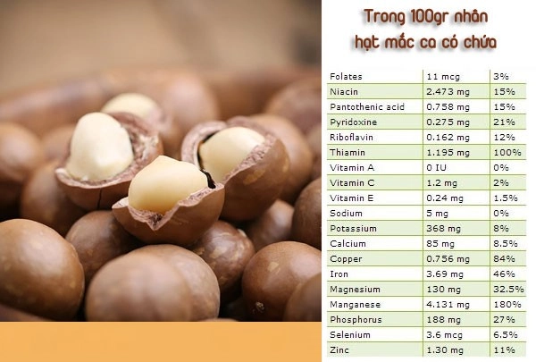 Mắc Ca - Loại Hạt Ngon Nhất Thế Giới Và Kỹ Thuật Trồng Cây Mắc Ca Ở Việt Nam