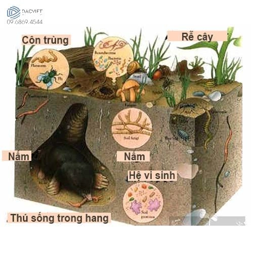 #24 [NNHC] Ứng dụng vi sinh vật vào canh tác giúp phát triển nền nông nghiệp bền vững, hiệu quả