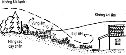 (Phần II) Hướng Dẫn Sử Dụng Đất Làm Nông Nghiệp Bền Vững