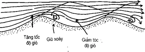 (Phần II) Hướng Dẫn Sử Dụng Đất Làm Nông Nghiệp Bền Vững