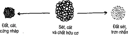 (Phần II) Hướng Dẫn Sử Dụng Đất Làm Nông Nghiệp Bền Vững