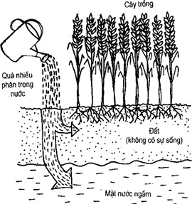 (Phần II) Hướng Dẫn Sử Dụng Đất Làm Nông Nghiệp Bền Vững