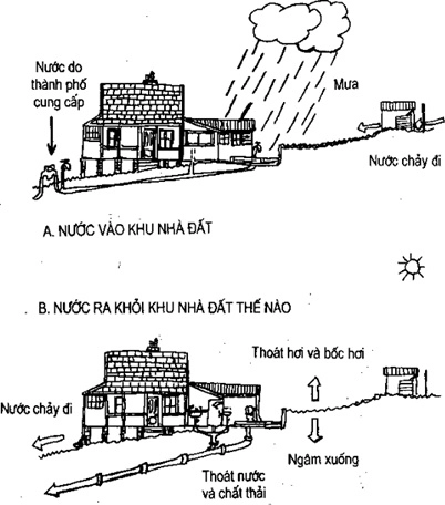 (Phần II) Hướng Dẫn Sử Dụng Đất Làm Nông Nghiệp Bền Vững