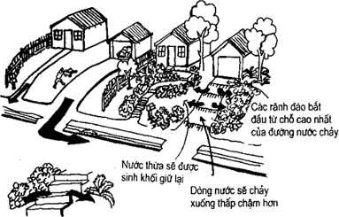 (Phần II) Hướng Dẫn Sử Dụng Đất Làm Nông Nghiệp Bền Vững