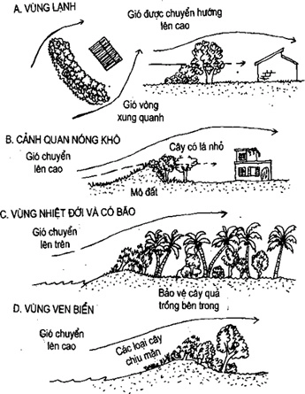 (Phần II) Hướng Dẫn Sử Dụng Đất Làm Nông Nghiệp Bền Vững