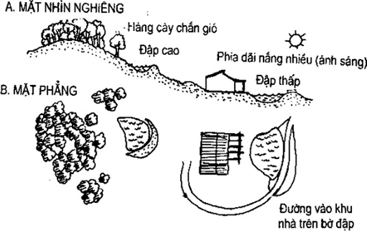 [Phần III] Hướng Dẫn Sử Dụng Đất Làm Nông Nghiệp Bền Vững
