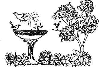 [Phần III] Hướng Dẫn Sử Dụng Đất Làm Nông Nghiệp Bền Vững