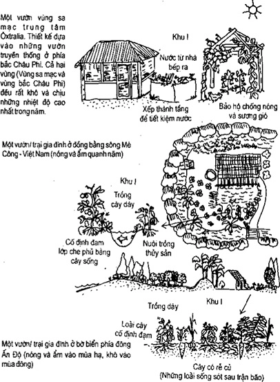 [Phần III] Hướng Dẫn Sử Dụng Đất Làm Nông Nghiệp Bền Vững
