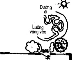 [Phần III] Hướng Dẫn Sử Dụng Đất Làm Nông Nghiệp Bền Vững