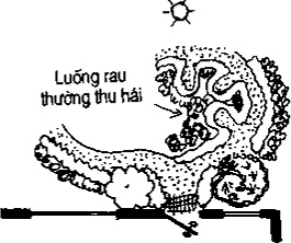 [Phần III] Hướng Dẫn Sử Dụng Đất Làm Nông Nghiệp Bền Vững