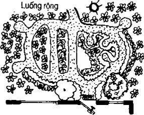 [Phần III] Hướng Dẫn Sử Dụng Đất Làm Nông Nghiệp Bền Vững