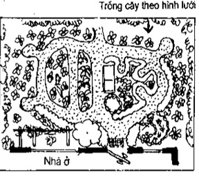 [Phần III] Hướng Dẫn Sử Dụng Đất Làm Nông Nghiệp Bền Vững