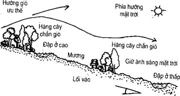[Phần III] Hướng Dẫn Sử Dụng Đất Làm Nông Nghiệp Bền Vững