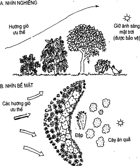 [Phần III] Hướng Dẫn Sử Dụng Đất Làm Nông Nghiệp Bền Vững