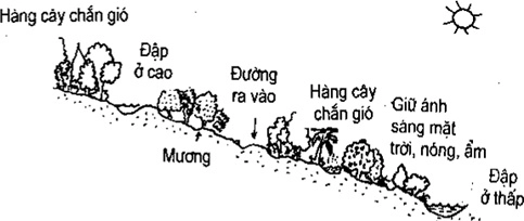 [Phần III] Hướng Dẫn Sử Dụng Đất Làm Nông Nghiệp Bền Vững