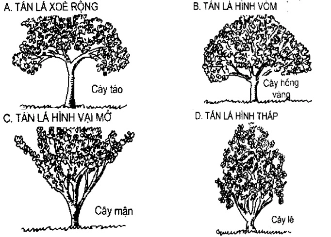 [Phần III] Hướng Dẫn Sử Dụng Đất Làm Nông Nghiệp Bền Vững