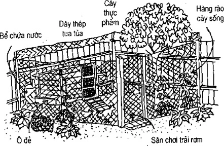 [Phần III] Hướng Dẫn Sử Dụng Đất Làm Nông Nghiệp Bền Vững