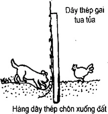 [Phần III] Hướng Dẫn Sử Dụng Đất Làm Nông Nghiệp Bền Vững