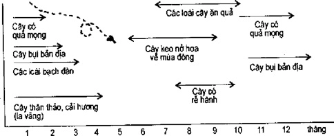[Phần III] Hướng Dẫn Sử Dụng Đất Làm Nông Nghiệp Bền Vững