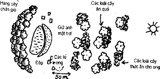 [Phần III] Hướng Dẫn Sử Dụng Đất Làm Nông Nghiệp Bền Vững