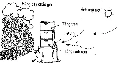 [Phần III] Hướng Dẫn Sử Dụng Đất Làm Nông Nghiệp Bền Vững