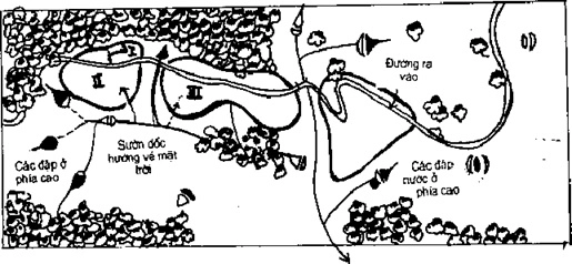 [Phần III] Hướng Dẫn Sử Dụng Đất Làm Nông Nghiệp Bền Vững