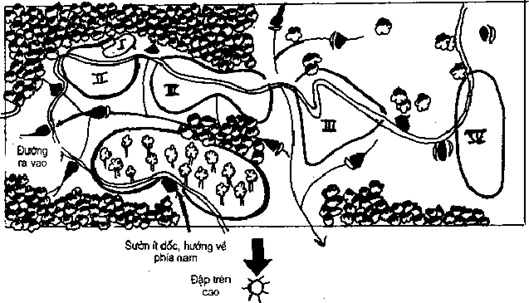 [Phần III] Hướng Dẫn Sử Dụng Đất Làm Nông Nghiệp Bền Vững