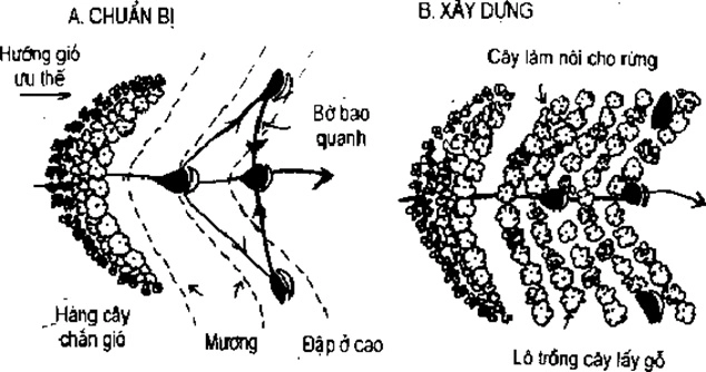 [Phần III] Hướng Dẫn Sử Dụng Đất Làm Nông Nghiệp Bền Vững