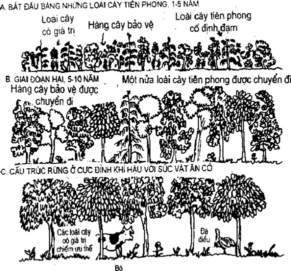[Phần III] Hướng Dẫn Sử Dụng Đất Làm Nông Nghiệp Bền Vững
