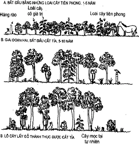 [Phần III] Hướng Dẫn Sử Dụng Đất Làm Nông Nghiệp Bền Vững