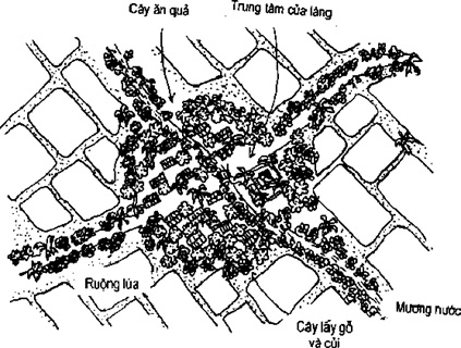 [Phần III] Hướng Dẫn Sử Dụng Đất Làm Nông Nghiệp Bền Vững