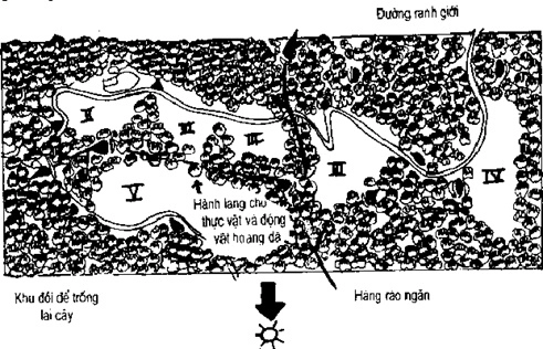 [Phần III] Hướng Dẫn Sử Dụng Đất Làm Nông Nghiệp Bền Vững