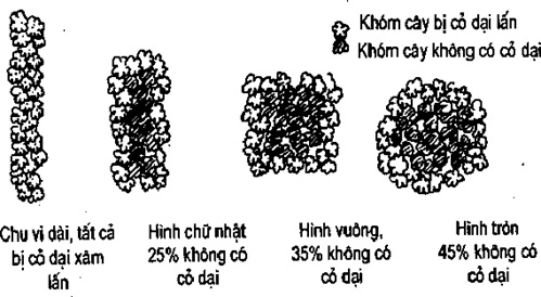 [Phần III] Hướng Dẫn Sử Dụng Đất Làm Nông Nghiệp Bền Vững