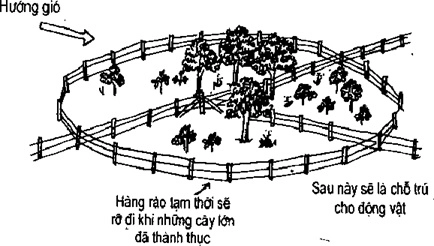 [Phần III] Hướng Dẫn Sử Dụng Đất Làm Nông Nghiệp Bền Vững
