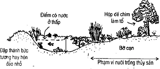 [Phần IV] Hướng Dẫn Sử Dụng Đất Làm Nông Nghiệp Bền Vững