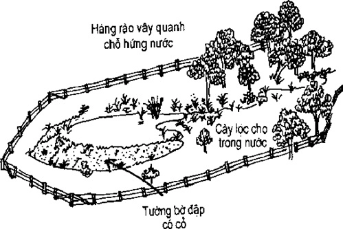 [Phần IV] Hướng Dẫn Sử Dụng Đất Làm Nông Nghiệp Bền Vững