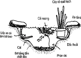 [Phần IV] Hướng Dẫn Sử Dụng Đất Làm Nông Nghiệp Bền Vững