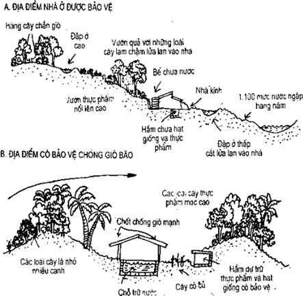 [Phần IV] Hướng Dẫn Sử Dụng Đất Làm Nông Nghiệp Bền Vững