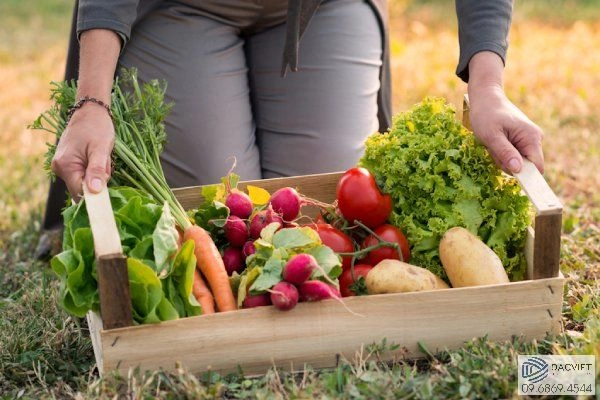 Làm Thế Nào Để Bón Phân Cân Đối Cho Cây Trồng Giúp Tăng Năng Suất