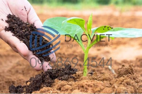 Chất Mùn Hữu Cơ Và Việc Sử Dụng Phân Bón Hữu Cơ Trong Sản Xuất Nông Nghiệp