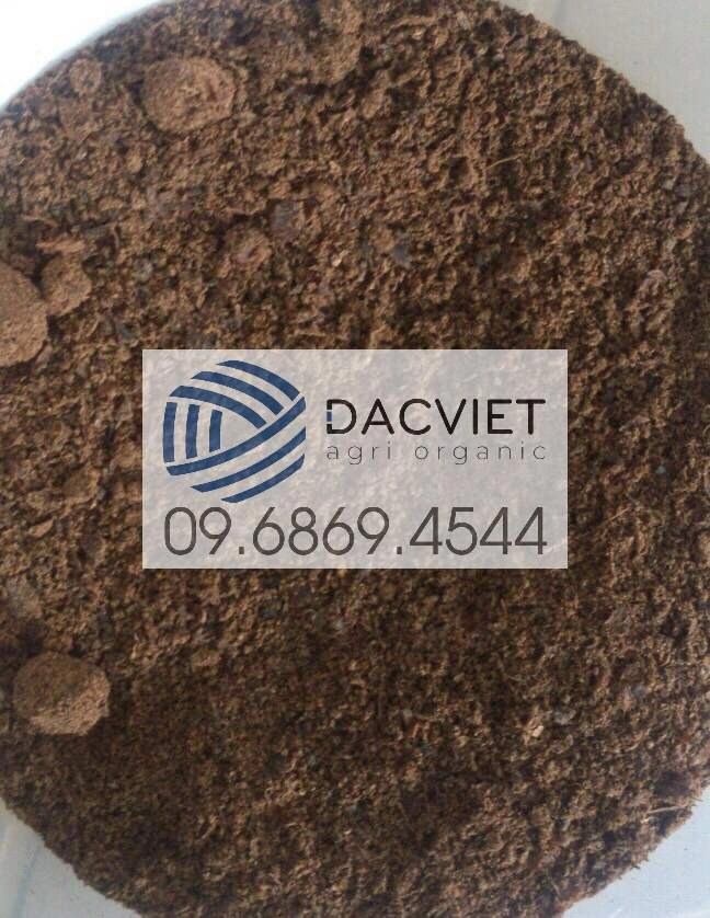 Cách Sử Dụng Phân Bón Cho Cây Hồ Tiêu Ở Mỗi Loại Đất