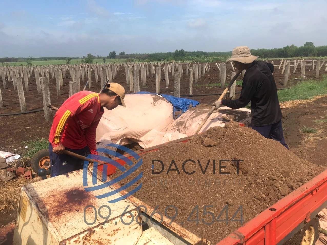 Sử Dụng Phân Hữu Cơ Nhật Bản Hiệu Quả Tốt Nhất