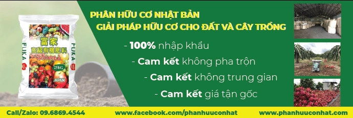 Cách Sử Dụng Phân Gà Hữu Cơ Vi Sinh Trong Canh Tác Giúp Mang Lại Hiệu Quả Cao