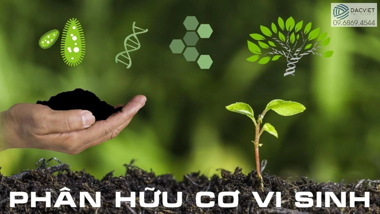 Sự Quan Trọng Của Chất Hữu Cơ Và Mùn Trong Đất Canh Tác Nông Nghiệp