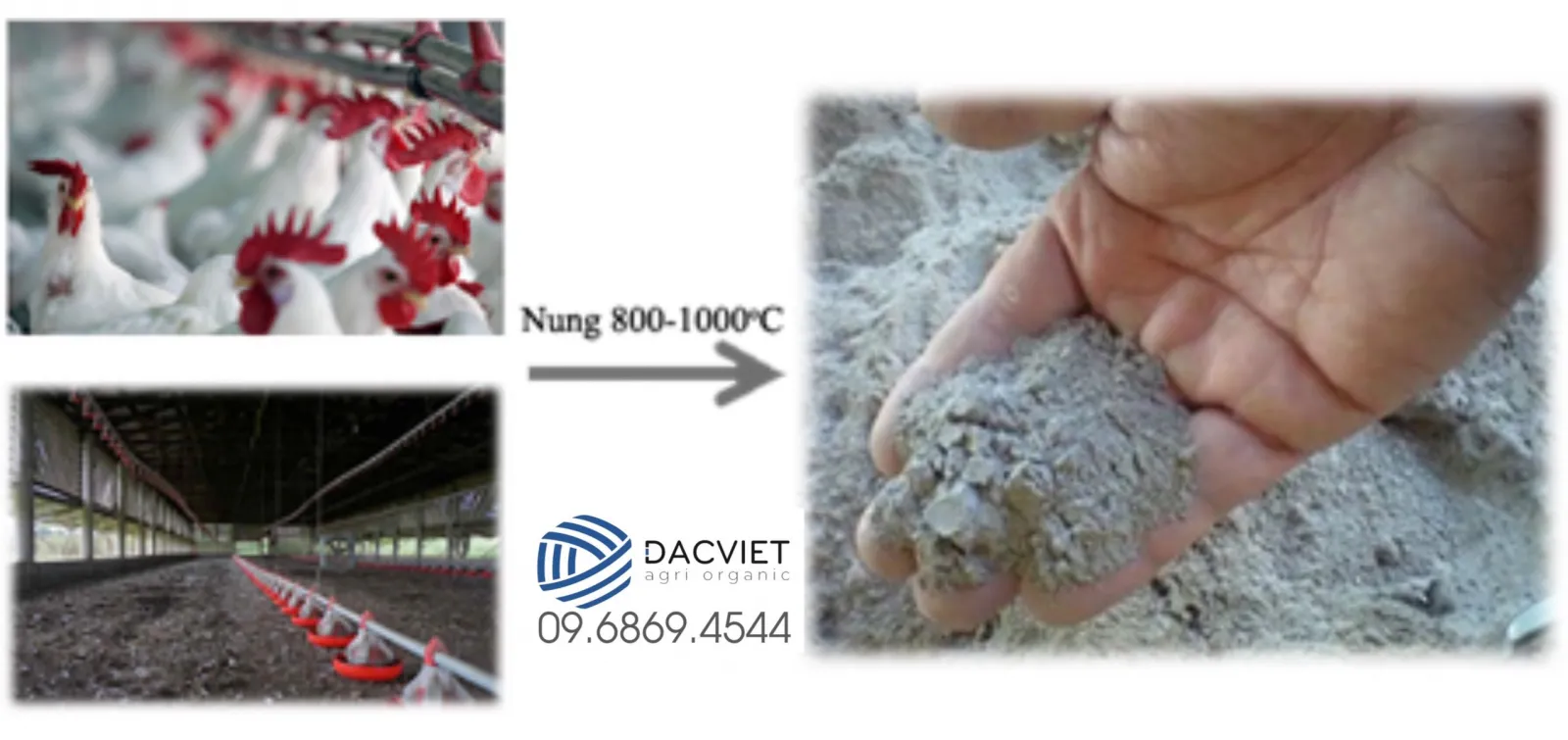 #1 [Tro Phân Gà] Tro Phân Gà PK là gì? Tại sao nên sử dụng Tro Phân Gà PK của Đắc Việt cho cây trồng?