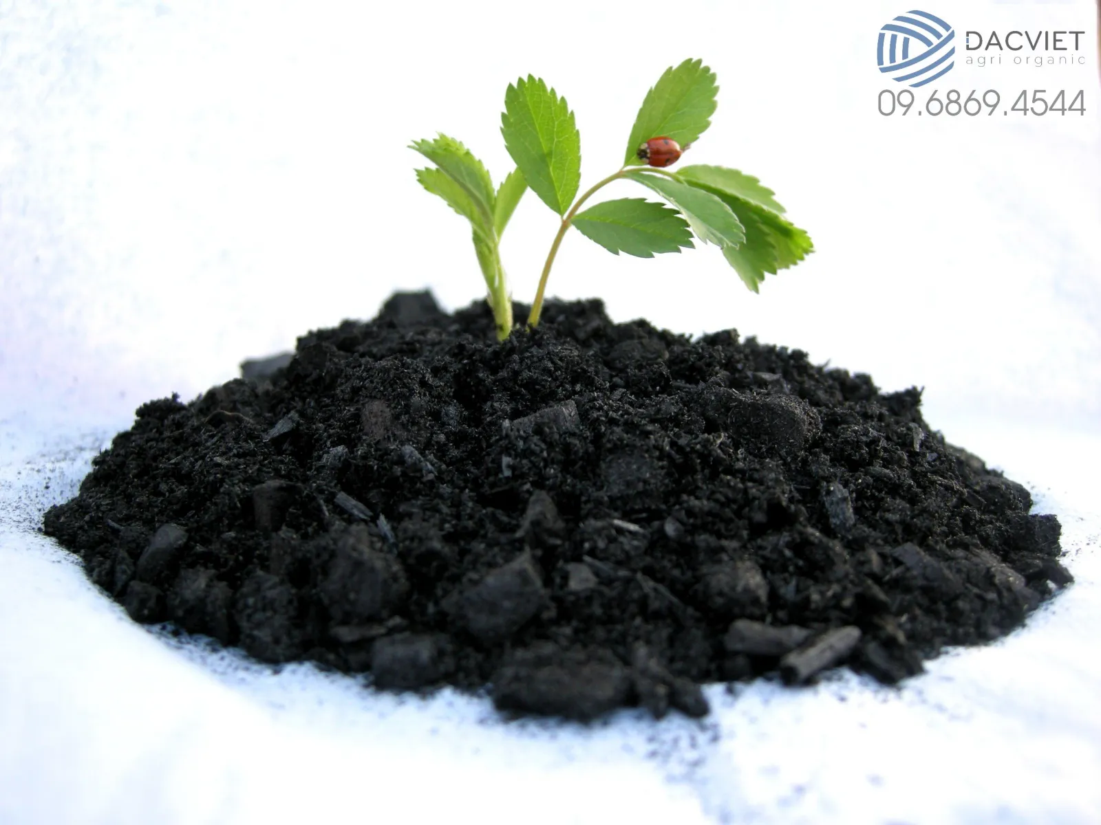 Than Sinh Học (Biochar) Là Gì? Quy Trình Sản Xuất Và Ứng Dụng Trong Nông Nghiệp Của Than Sinh Học