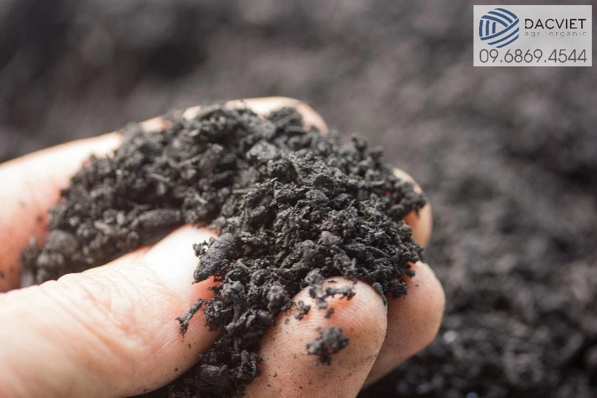 Than Sinh Học (Biochar) Là Gì? Quy Trình Sản Xuất Và Ứng Dụng Trong Nông Nghiệp Của Than Sinh Học